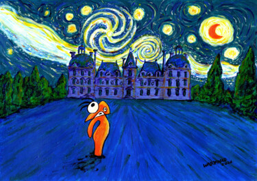 Starry night at Cheverny castle